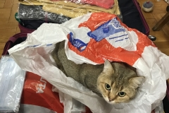 бас