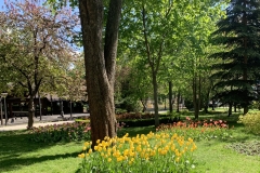 2024-04-20 12.19.01